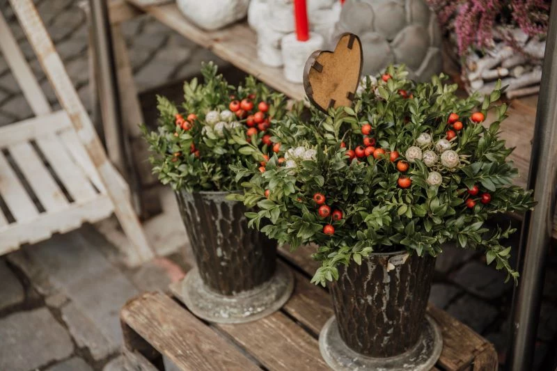 seasonal decor greenery cranberries arrangement