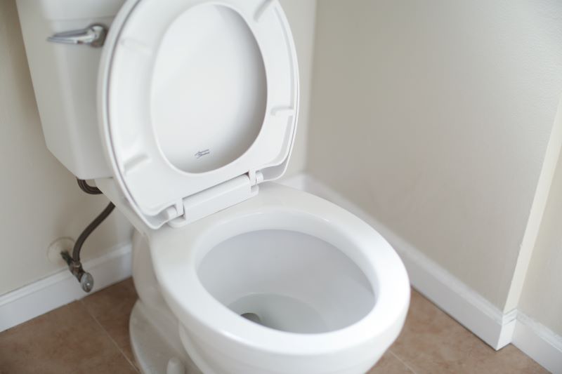 toilet seat common bathroom issues in white