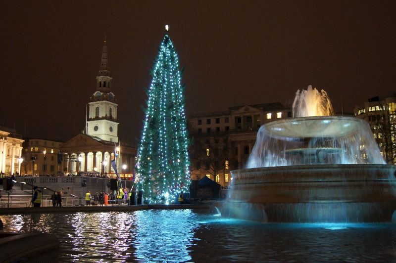 trafalgar square christmas tree celebrate christmas in london