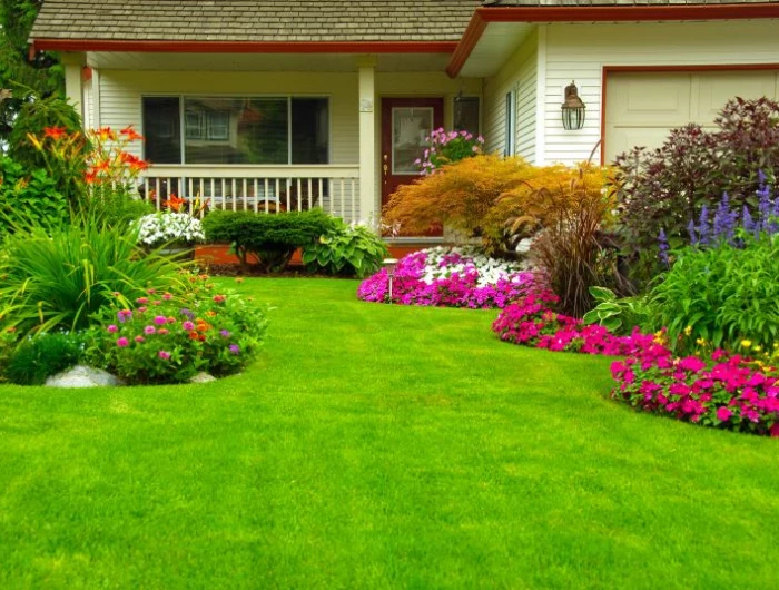 brittle lawn in front of house with flowers