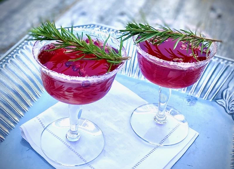 christmas prosecco cocktails rosemary sprigs