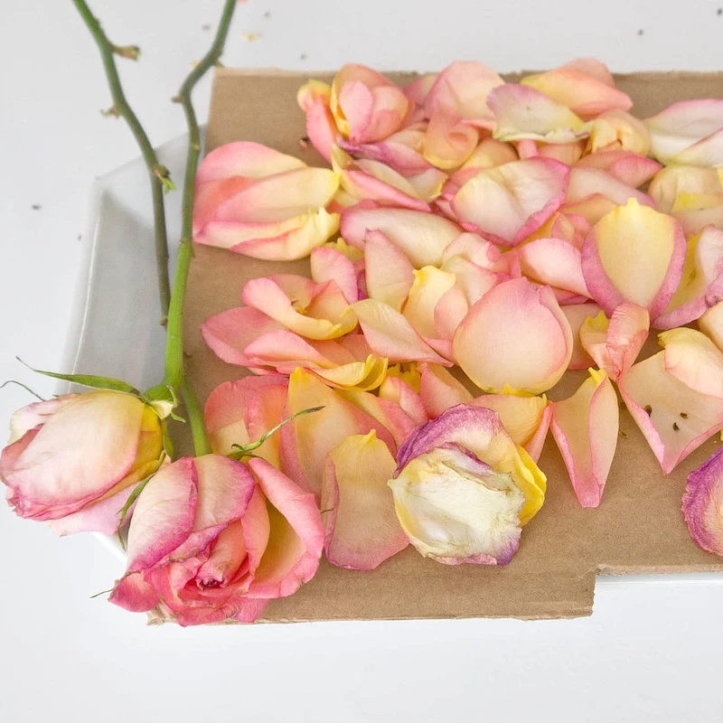 how to preserve rose petals for easy and fun diy potpourri recipe