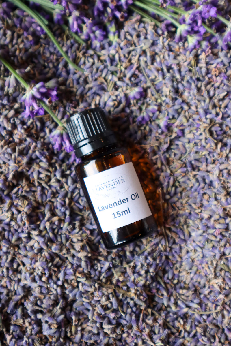 making potpourri at home with lavender essential oil easy diy