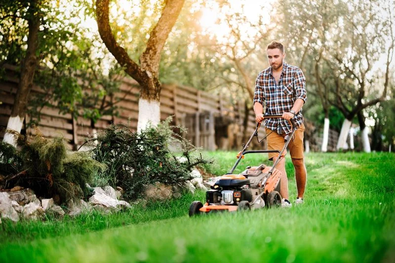 man mowing lawn brittle lawn