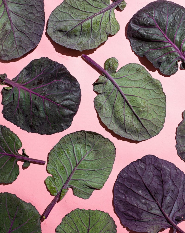 Liquid chlorophyll benefits Body Detox & Clear Skin?