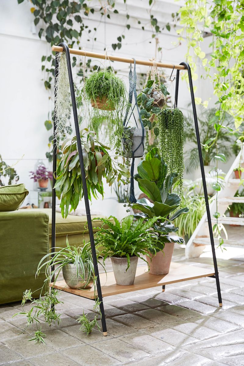 plant room divider