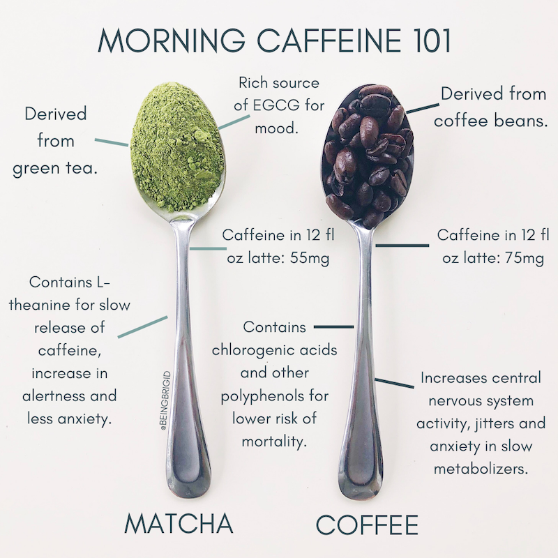 Matcha vs Coffee Which one is better?