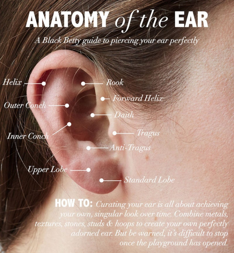 Types Of Ear Piercings: Coolest Designs and Ideas – Archziner.com