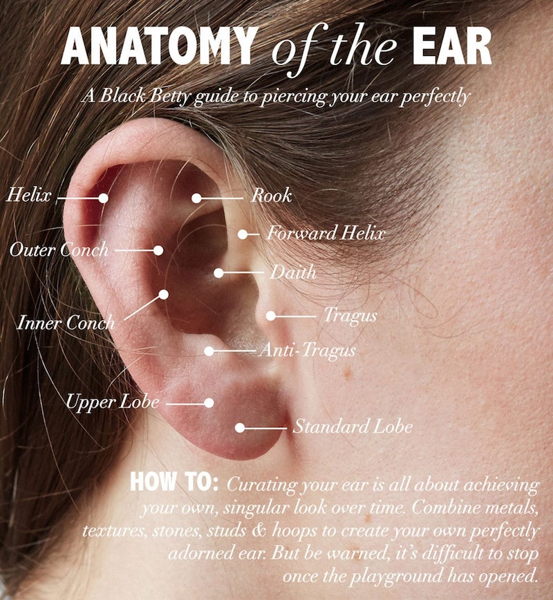 helix ear piercings anatomy of the ear