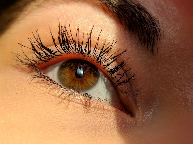how to regrow eyelashes and keep them healthy and nurtured
