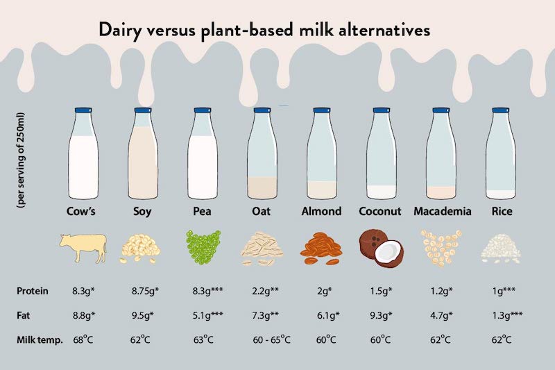 adobestock 386652407 [converted] plant based milks