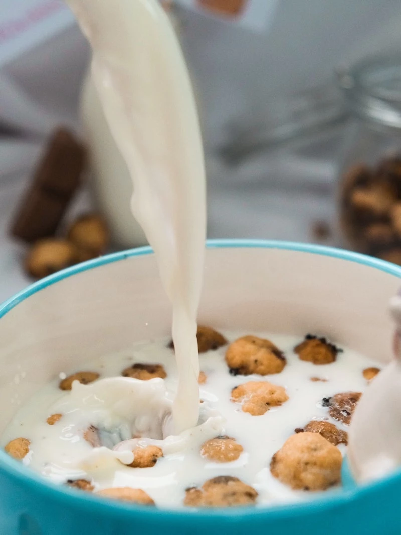 oat milk vs whole milk which one tastes better in breakfast