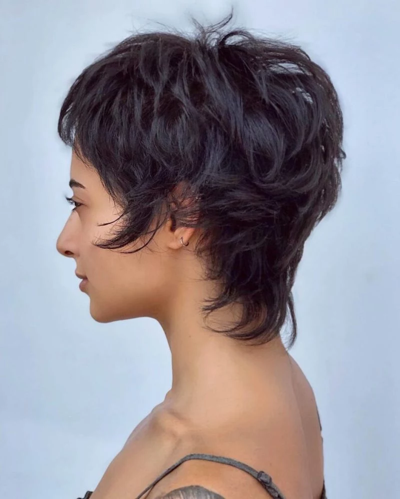 pixie short hairstyle for finr hair layered pixie