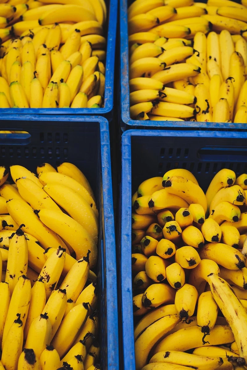 recipes using bananas bundles of bananas