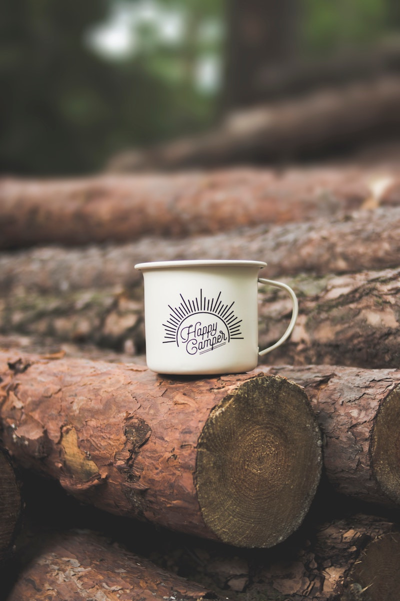 romantic gift for boyfriend outside mug on a log