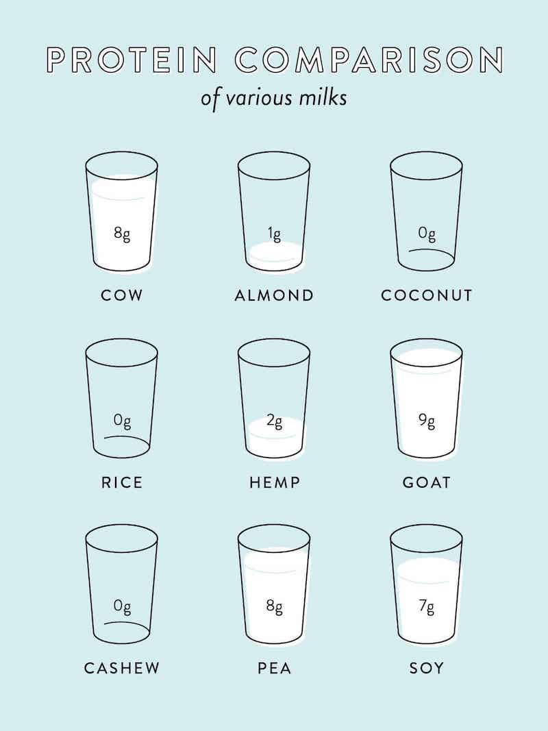 vegan milk protein comparisons how much protein is in milk