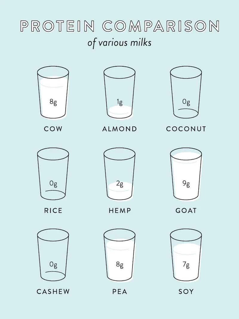 vegan milk protein comparisons how much protein is in milk