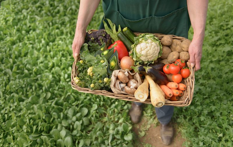 what is organic food and why is it better for you