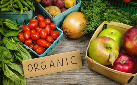 why should you shop for organic foods