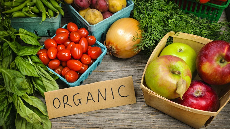 why should you shop for organic foods