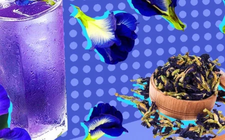 all butterfly pea tea benefits