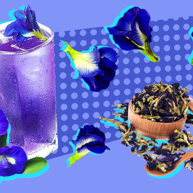 Butterfly Pea Flower The Benefits Of This Magical Blue Tea 4 Recipes