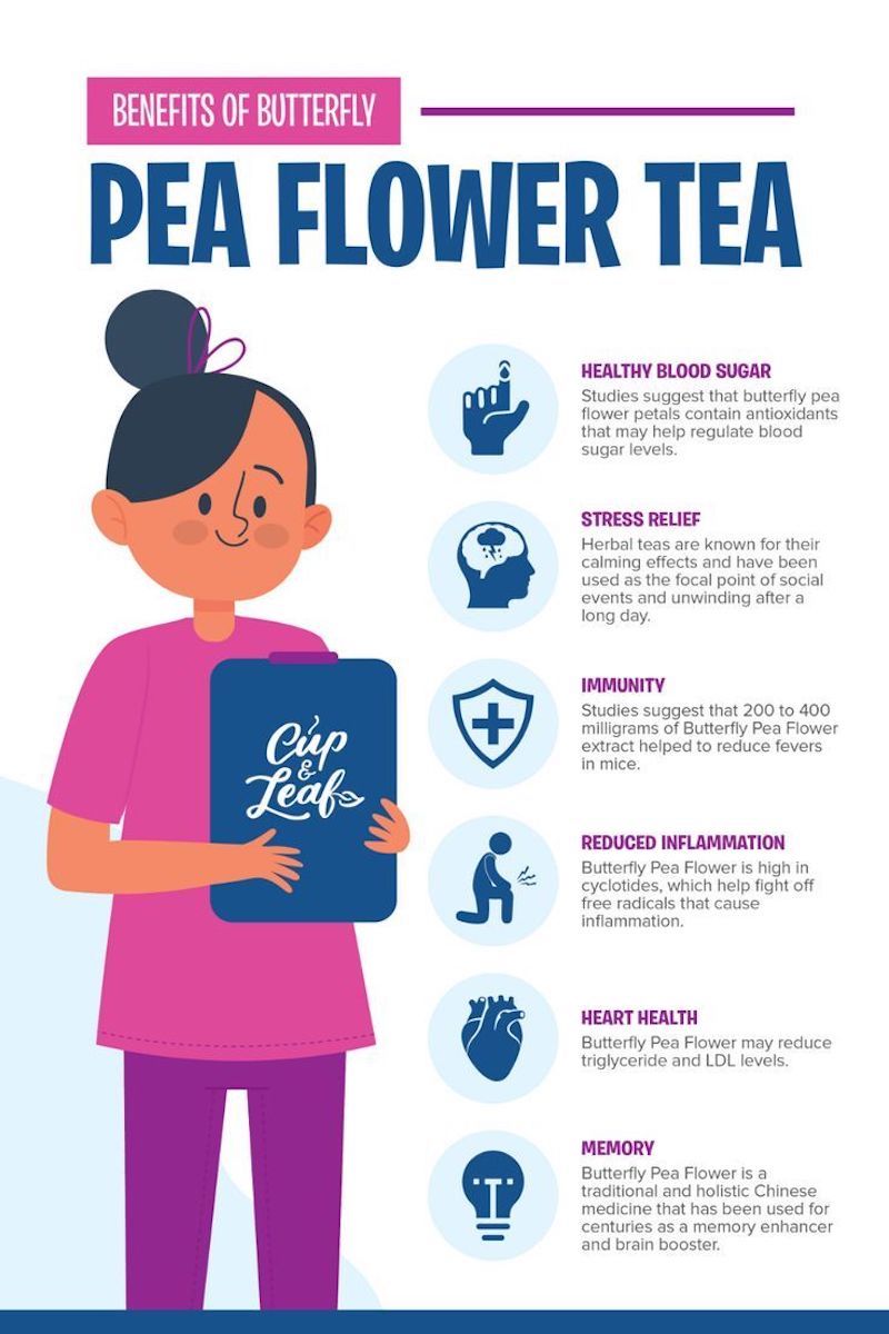 butterfly pea flower tea benefits