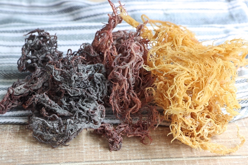 different types of organic sea moss
