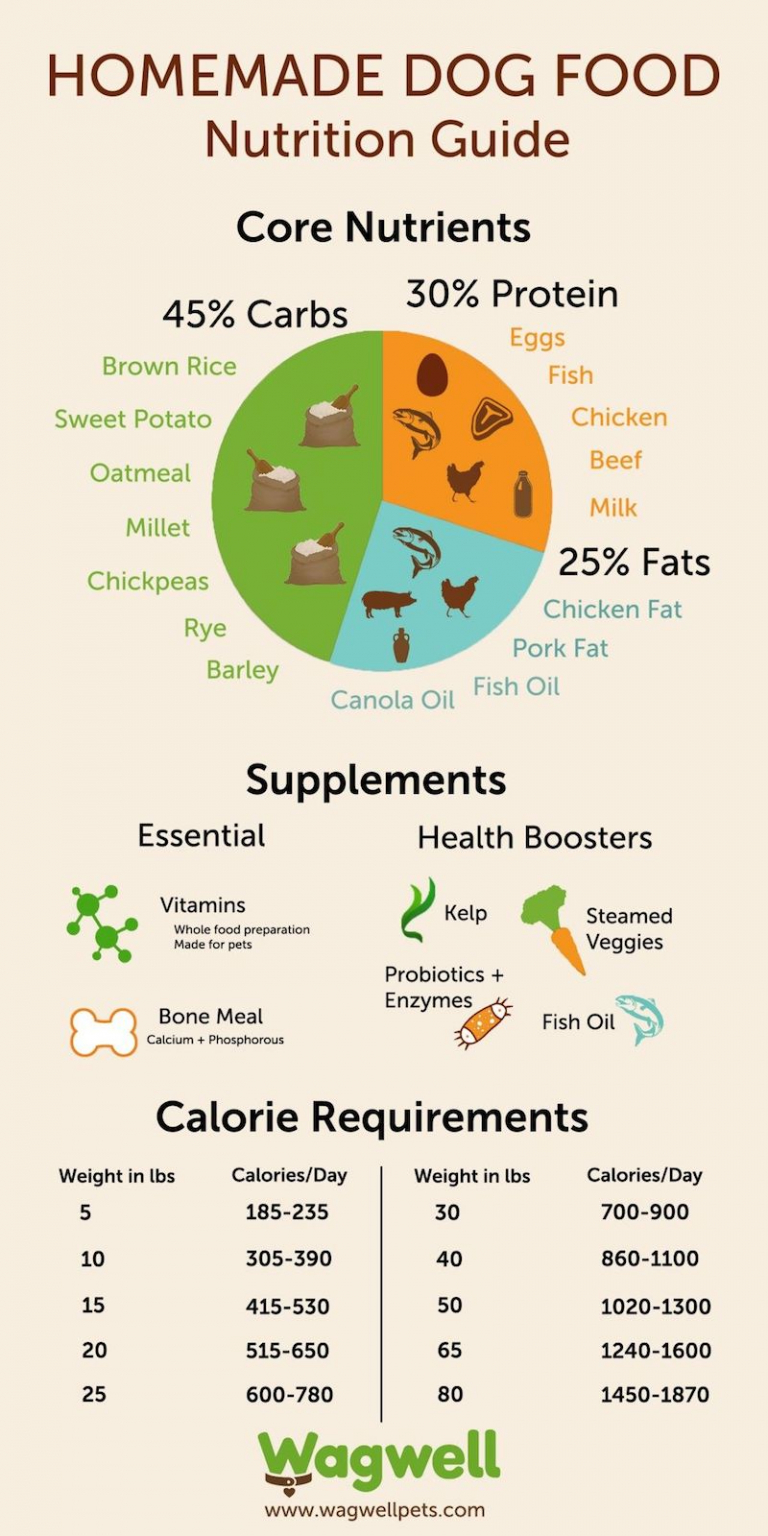 Homemade Dog Food Recipes Vet Approved and Nutritionally Complete