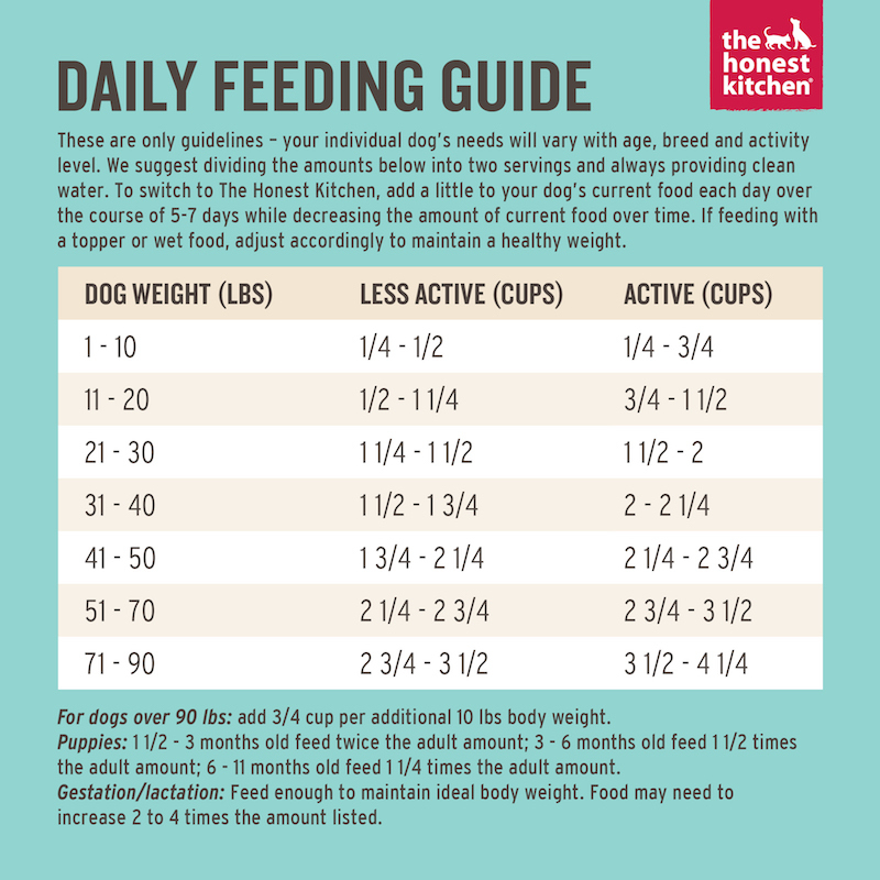 dog friendly food daily feeding guide