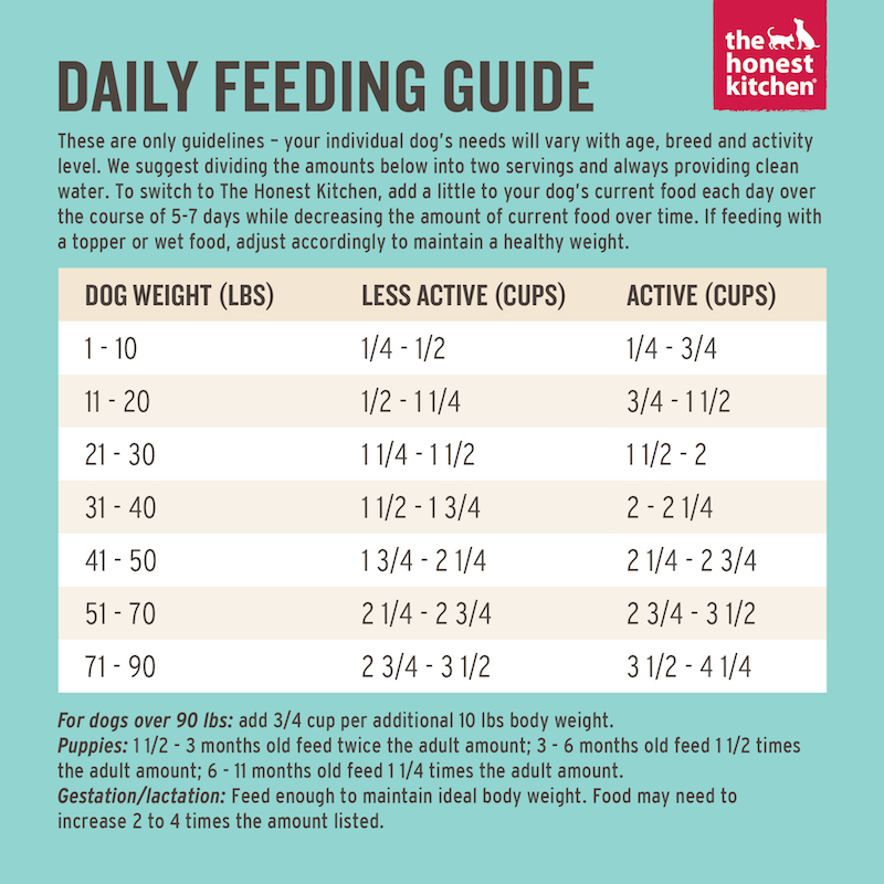 dog-friendly-food-daily-feeding-guide-e1645446253125.jpeg