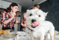 Homemade Dog Food Recipes: Vet Approved and Nutritionally Complete