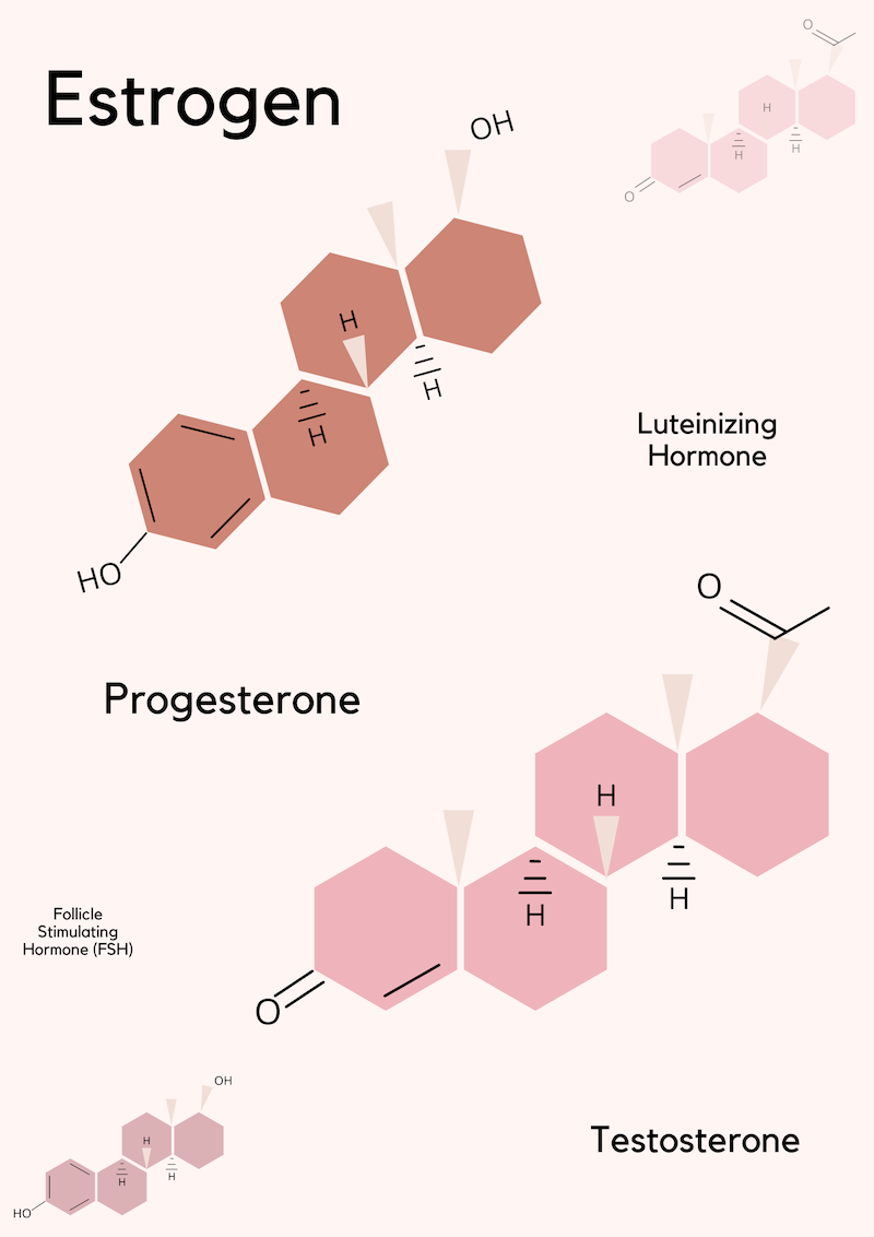 female hormones estrogen rich foods