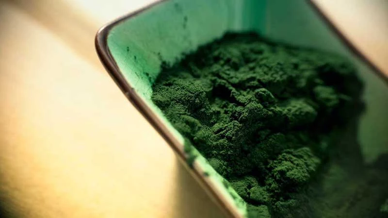 green spirulina powder green