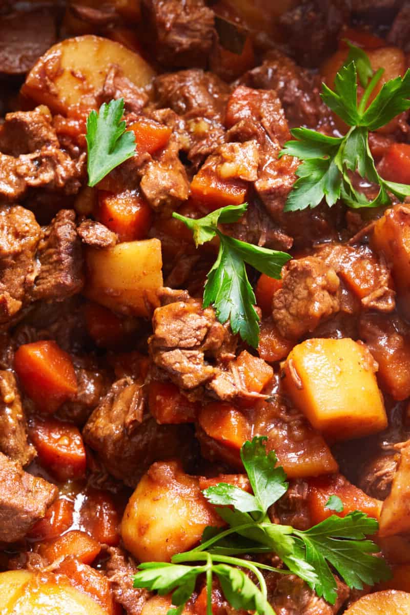 healthy dog food beef stew