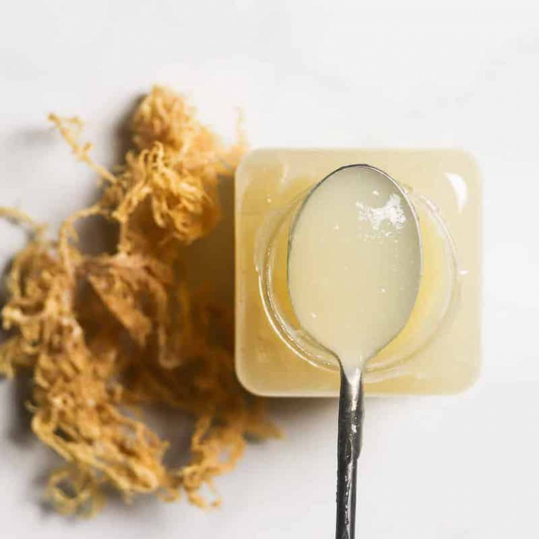 Benefits of Sea Moss & How to Make Sea Moss Gel at Home Archziner