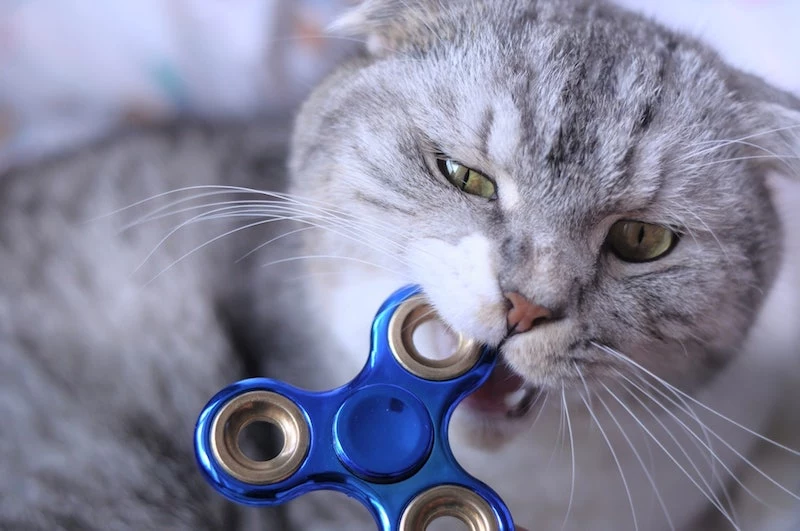 how to make a homemade fidget toy cat with fidget spinner