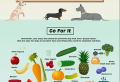 Homemade Dog Food Recipes: Vet Approved and Nutritionally Complete