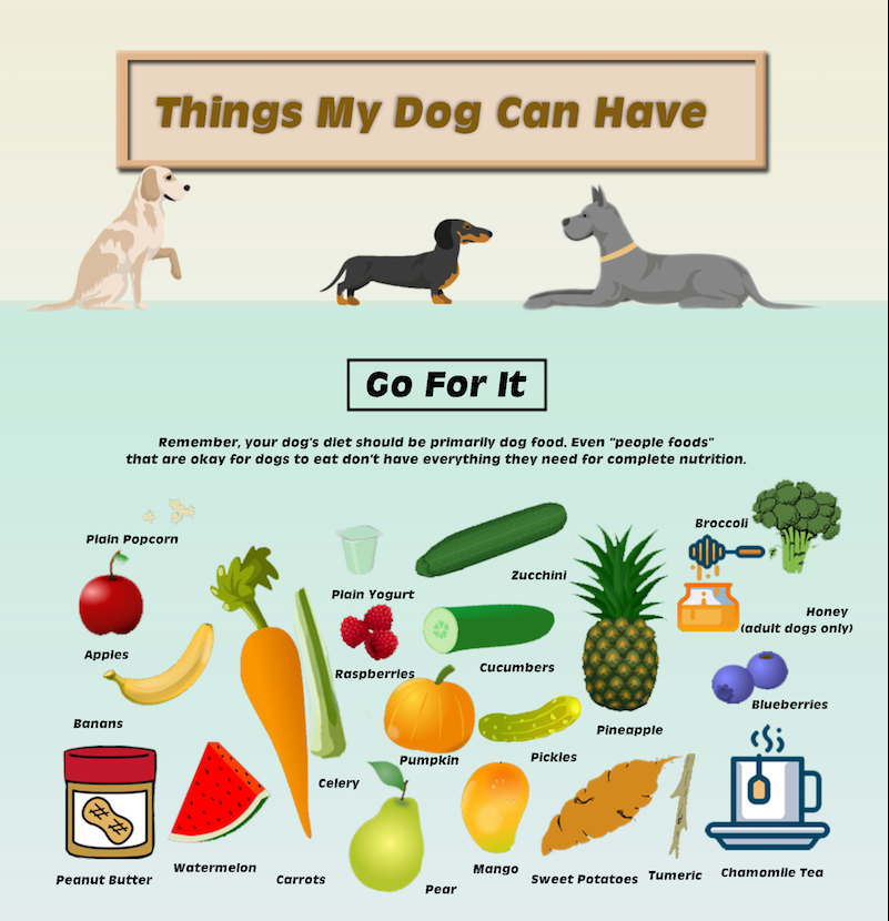 meals for dogs what dogs can and cannot eat