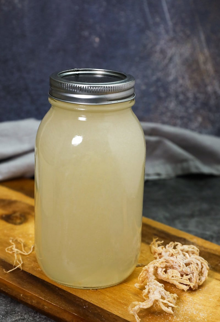 Benefits of Sea Moss & How to Make Sea Moss Gel at Home Archziner