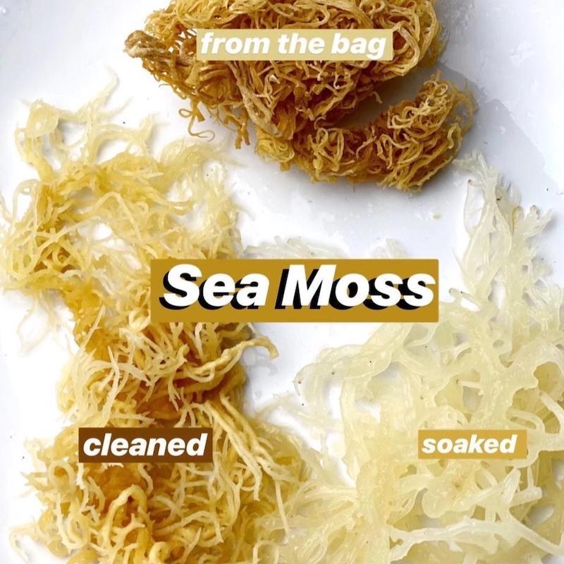 stages of making sea moss gel