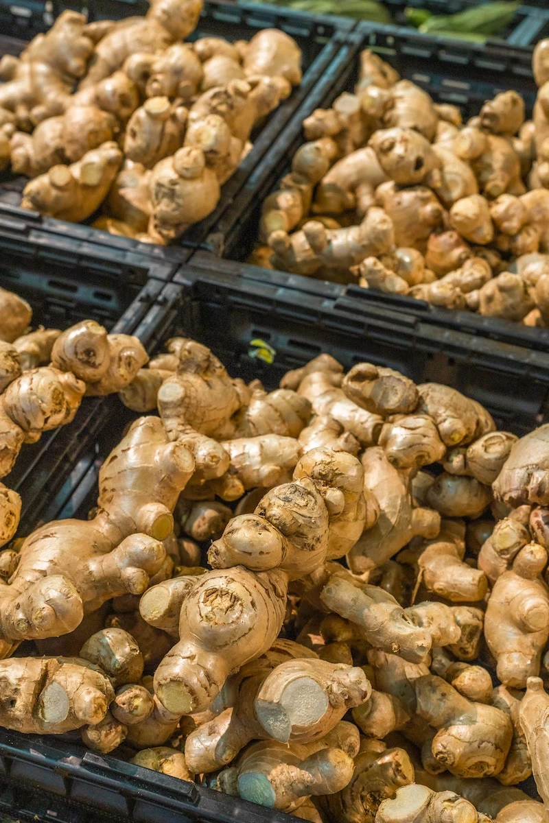 benefits of eating ginger ginger in stores