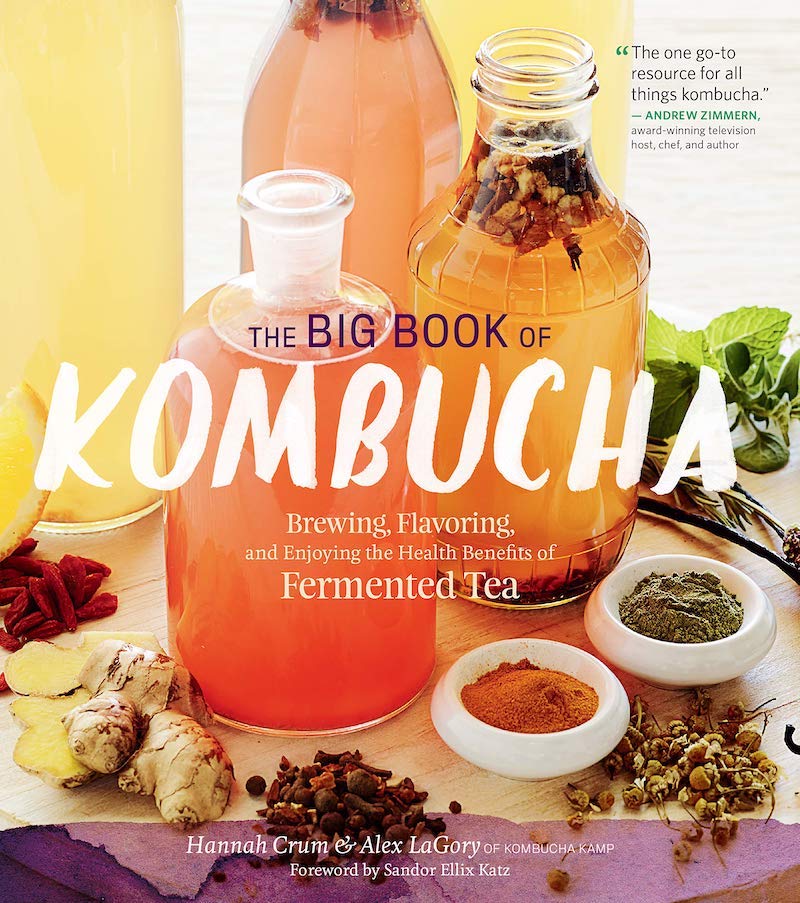 best book about kombucha making