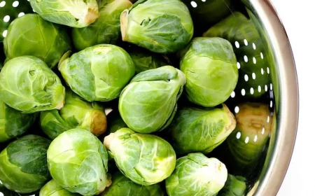 brussel sprout plants brussels in a bowl