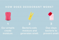 The Best Natural Deodorant You Will Ever Make: 5 DIY Recipes