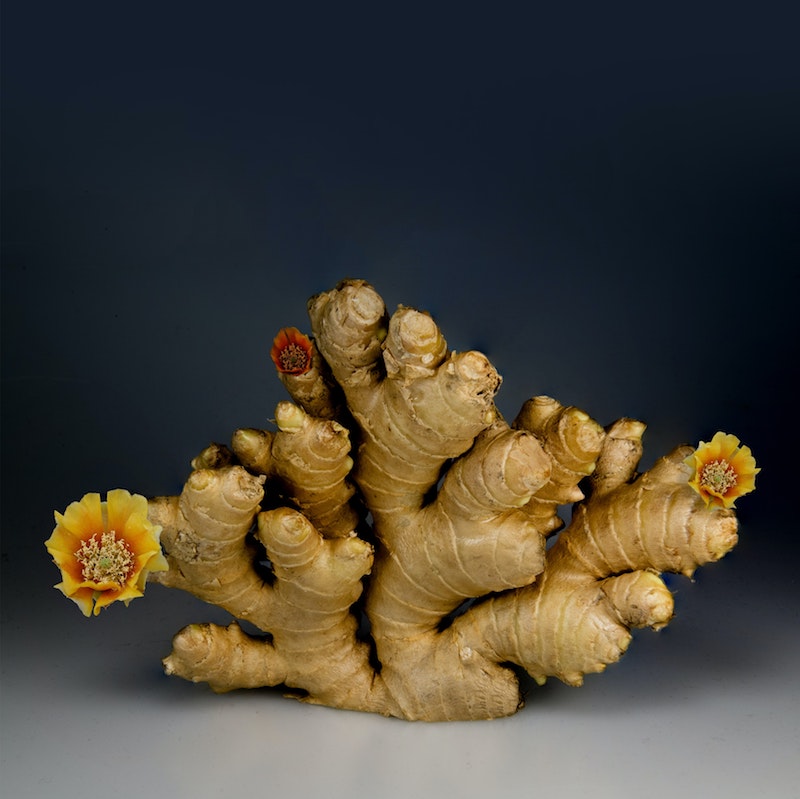 health benefits of ginger ginger root