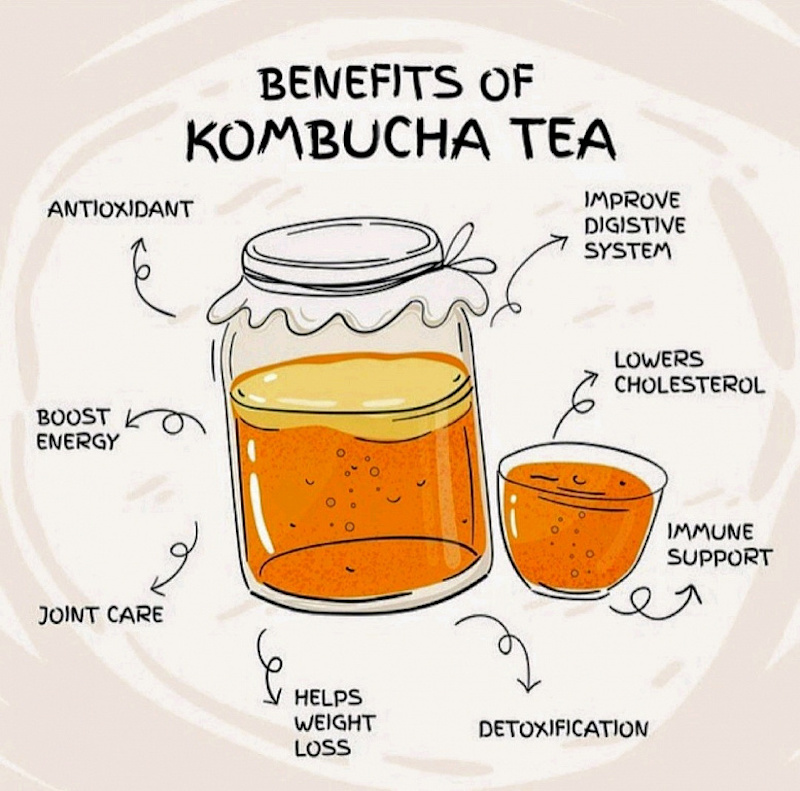 how often should you drink kombucha