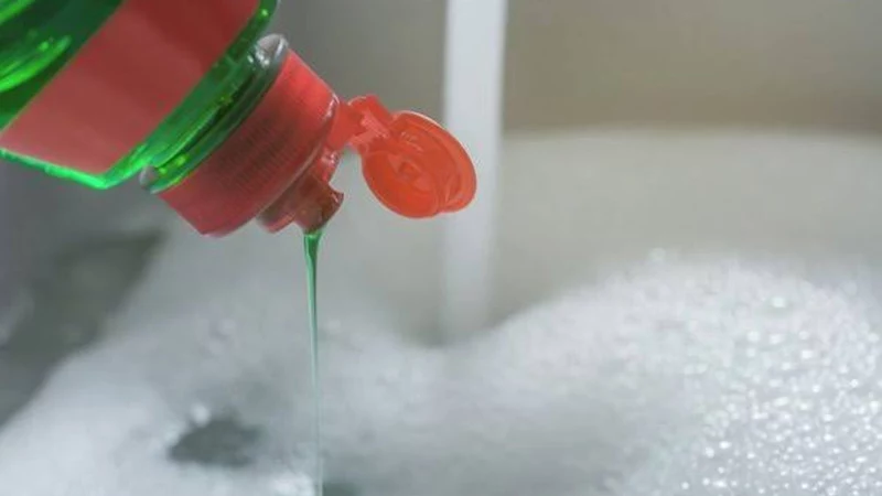 how to get rid of fruit flies in house dish soap