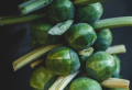 How To Grow Brussel Sprouts At Home