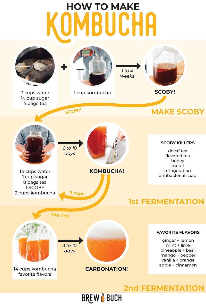 how to make kombucha caffeine